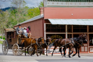 The stagecoach ride in Columbia State Historic Park.